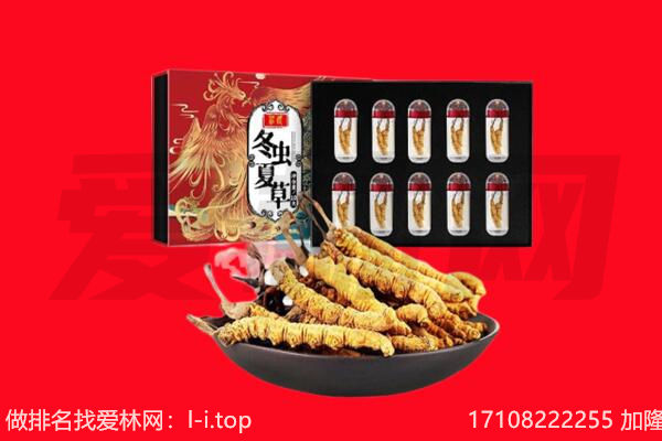 安图县回收虫草.jpg